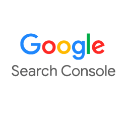 Google Search Console high quality logo